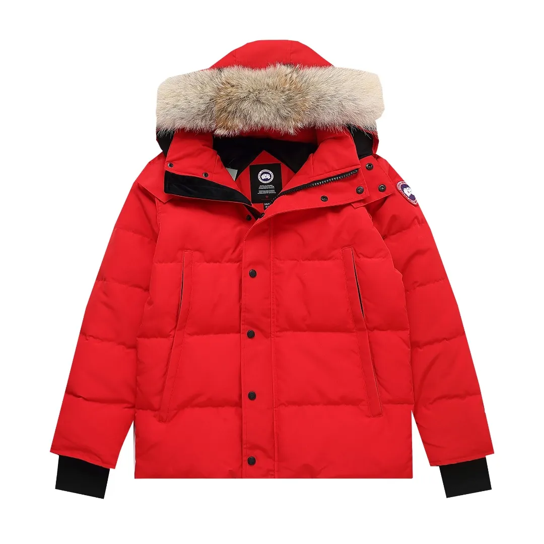 Authentic Canada Goose #Expedition 29 ！ ！ 29 Series 2024 Quality， ！ 2024 ， Same Style ， ， ， ！ ， ， ！ Classic ， Premium ， ， ， ， ， ， ， ， ， ， ， ， ， ， ， ， ！ ， ， ， ， ！ ， ， ， ， ， ！ Premium ， ， ， ， ， ， 。 ， Premium ， ， ， ， ， ， .